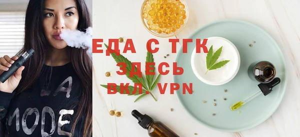 индика Заводоуковск
