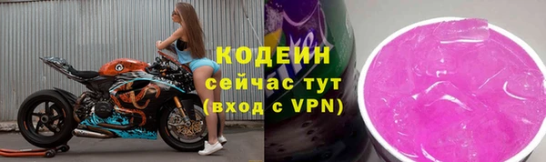 индика Заводоуковск