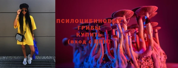 индика Заводоуковск