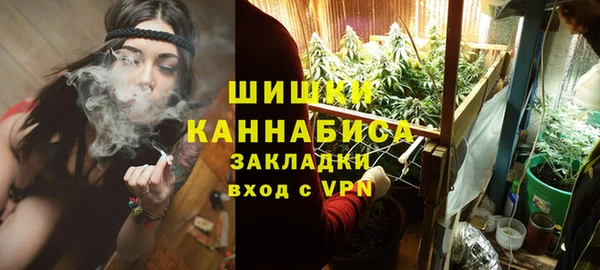 шишки Заволжье
