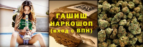 индика Заводоуковск