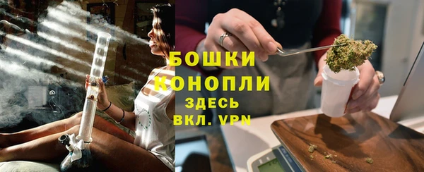 шишки Заволжье