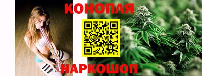 сатива Бийск