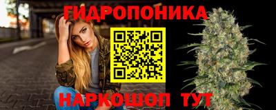 бошки Заводоуковск