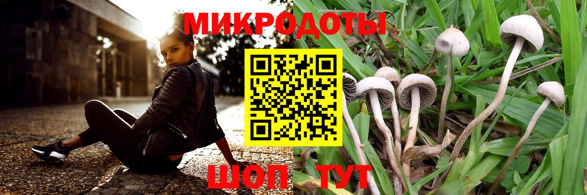 Галлюциногенные грибы мухоморы  Североуральск 